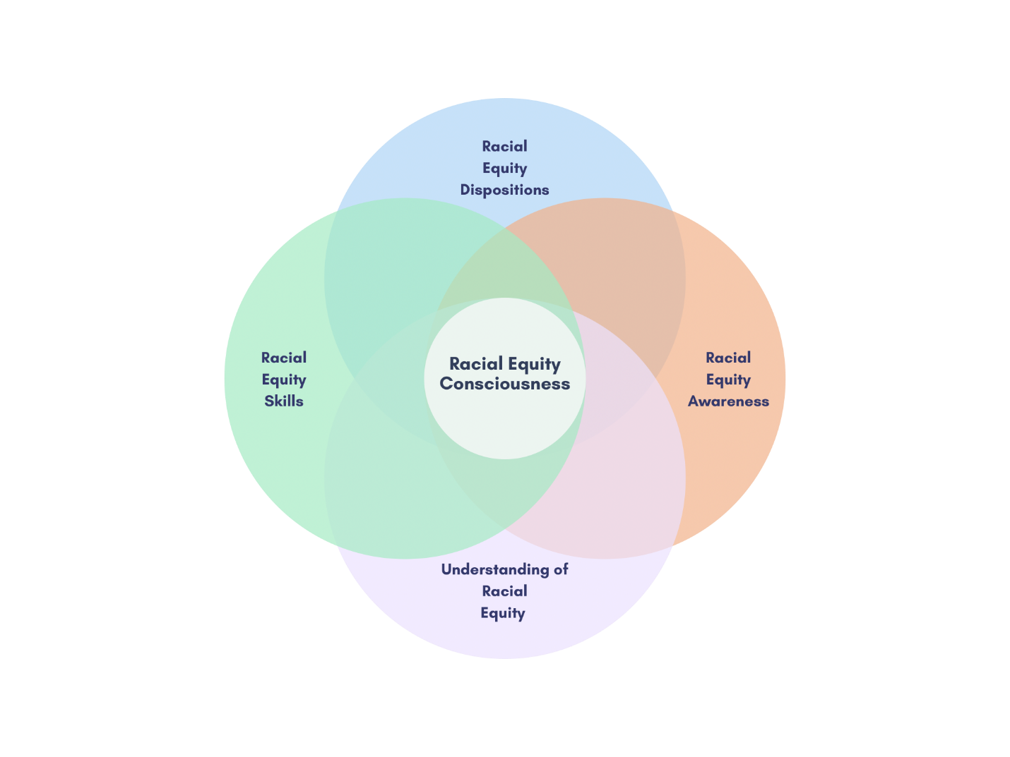 Racial equity consciousness consists of four interrelated components: racial equity dispositions, understanding of racial equity, racial equity awareness, and racial equity skills. 