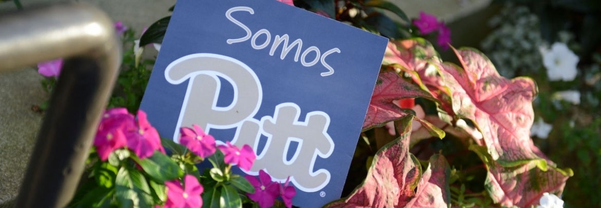 Flag reading, "Somos Pitt," amidst flowers